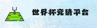 使用指南与常见问题